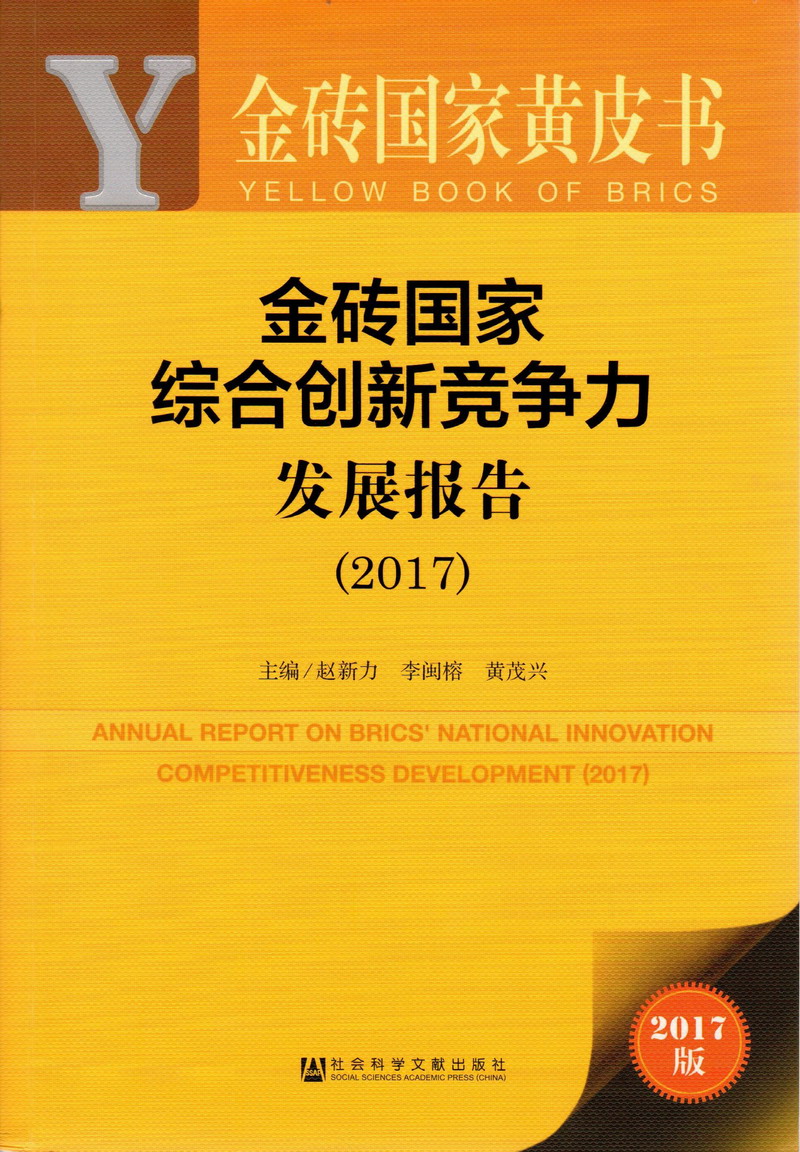 大鸡巴操屄网站金砖国家综合创新竞争力发展报告（2017）